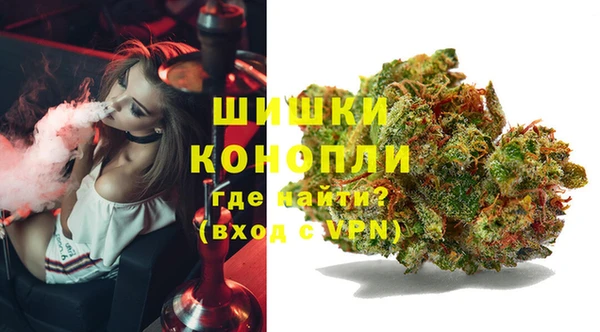ешки Гусиноозёрск
