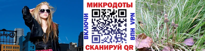 что такое   ОМГ ОМГ зеркало  Галлюциногенные грибы мухоморы  Озёры 